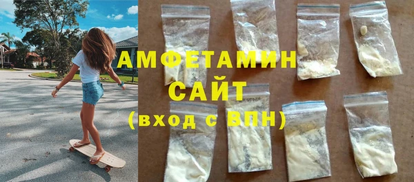 шишки Арсеньев