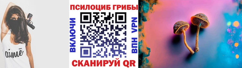 ОМГ ОМГ зеркало  наркотики  Куровское  Галлюциногенные грибы ЛСД 